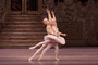Photo 2 pour CASSE-NOISETTE (COTE DIFFUSION)